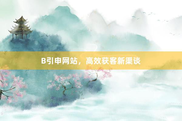 B引申网站，高效获客新渠谈